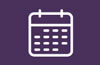 Icon data