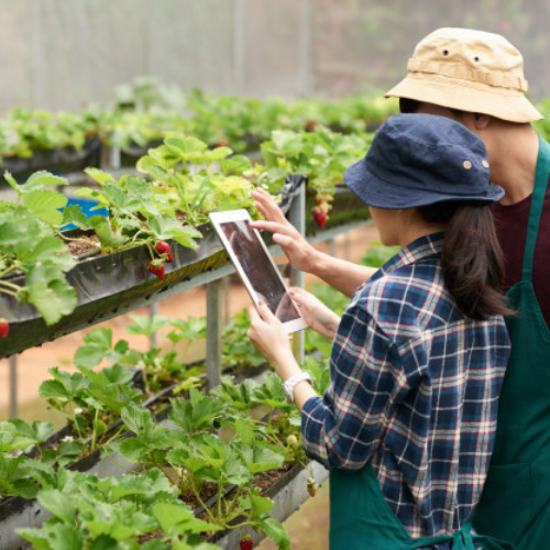As we enter Fair Trade Fortnight, how is technology helping the farming community?